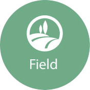 Field